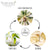 Plantvibes edle Palmblatt-Teller, kompostierbar & CO2-neutral, rund Einweg-Teller aus Palmblatt, Party-Geschirr, Palmblatt-Geschirr